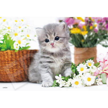 【メーカー取寄】28-051s おすましねこちゃん
