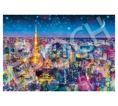 【メーカー取寄】31-040 光が集う東京の夜