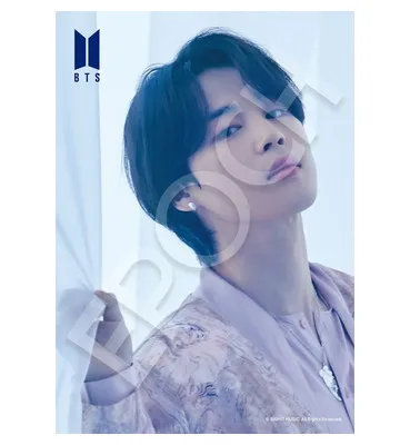 【メーカー取寄】41-312 Ｐｒｏｏｆ　Ｊｉｍｉｎ