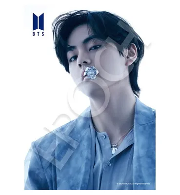 【メーカー取寄】41-313 Ｐｒｏｏｆ　Ｖ