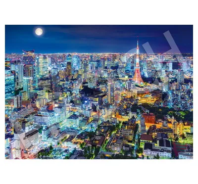 【メーカー取寄】54-234 煌めく東京の夜－東京