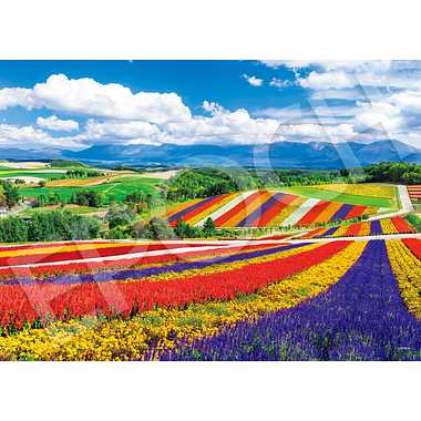 【メーカー取寄】54-240 虹色の四季彩の丘－北海道