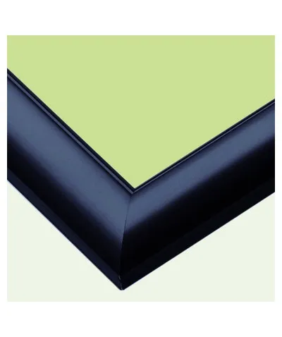 【メーカー取寄】65-319 ウッディパネルＥＸ  ＮＯ.１９ シャインブラック