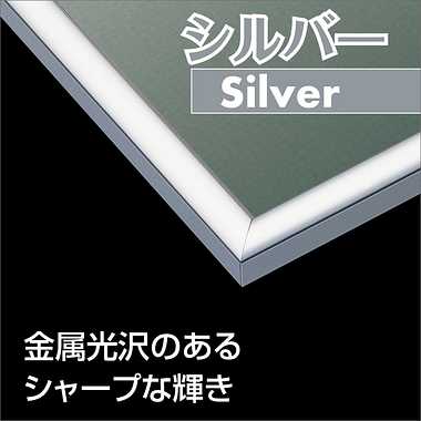 【メーカー取寄】66-719 パネルマックス　Ｎｏ．１９　シルバー