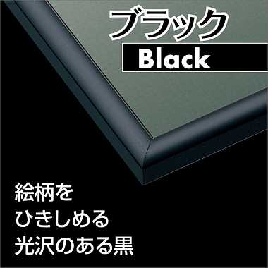 【メーカー取寄】66-819 パネルマックス　Ｎｏ．１９　ブラック