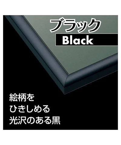 【メーカー取寄】66-869 パネルマックスＮｏ．６９　９－Ｔ　ブラック