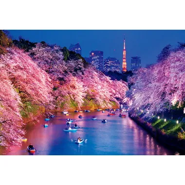 【メーカー取寄】51-275  千鳥ヶ淵の夜桜