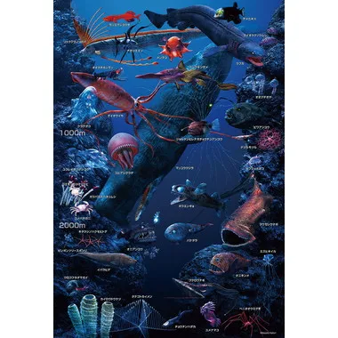【メーカー取寄】L74-191 深海の生物おぼえちゃおう！