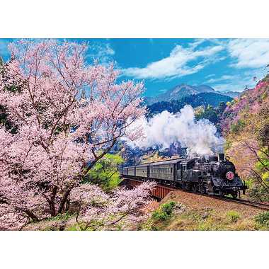 600-006 大井川鐡道と桜