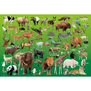 【メーカー取寄】100-041 動物園