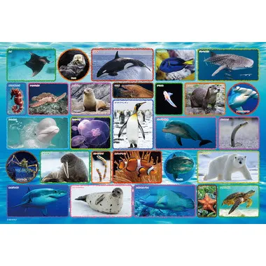 【メーカー取寄】100-042 水族館