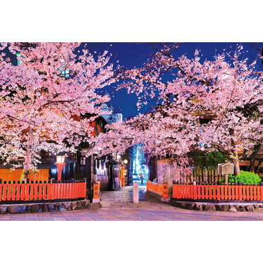 1000-050 祇園の夜桜