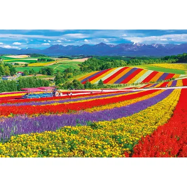 |メーカー品切れ中|【メーカー取寄】1000M-014 美瑛の花咲く丘