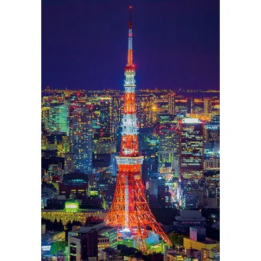 【メーカー取寄】300-080 東京タワー