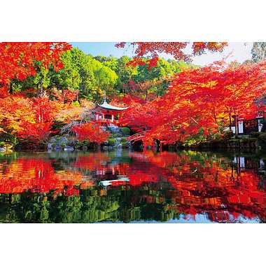 1000-066 秋に色づく醍醐寺