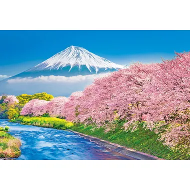 【メーカー取寄】300-125 富士と潤井川の桜並木