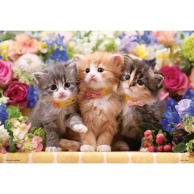 |メーカー品切れ中|【メーカー取寄】300-139 仔猫たちの花時間