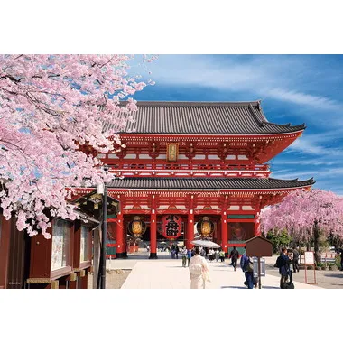【メーカー取寄】300-181 浅草寺の春