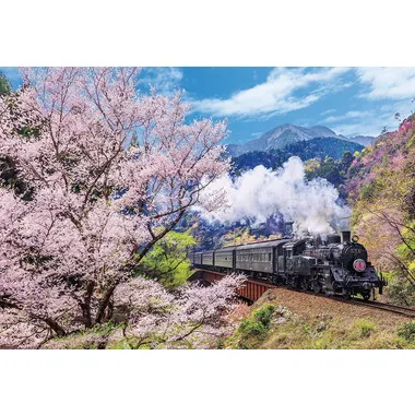 【メーカー取寄】1000-137 大井川鐵道と桜