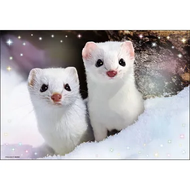 【メーカー取寄】300-188 ひょっこりエゾオコジョ