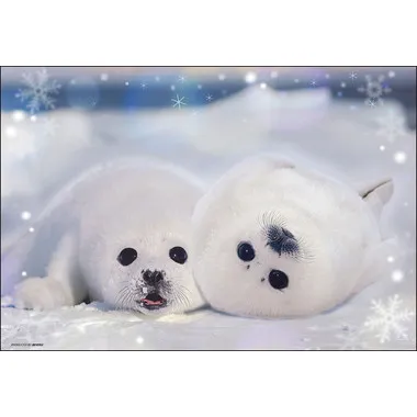 【メーカー取寄】300-190 アザラシの幼稚園