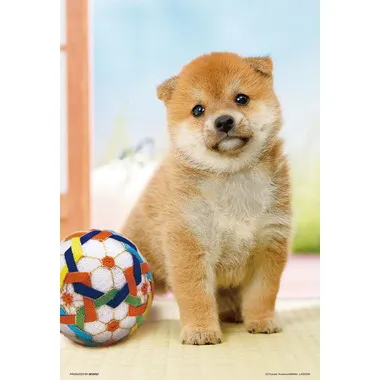 【メーカー取寄】300-191 まんまる柴犬