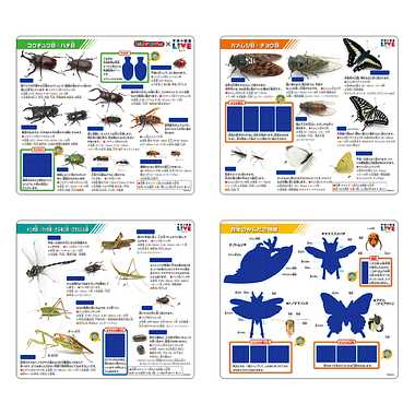 こたえがでてくる！おふろでスタディ！学研の図鑑LIVE昆虫