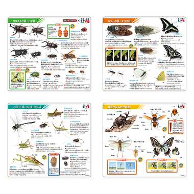 こたえがでてくる！おふろでスタディ！学研の図鑑LIVE昆虫