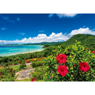 【予約】05-1097 海とハイビスカス　夏の石垣島（沖縄）