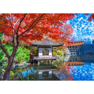 【メーカー取寄】05-1105 名勝　和歌山城西之丸庭園（和歌山）