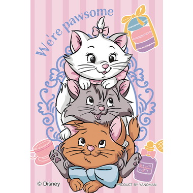 【予約】70-53 おしゃれキャット
