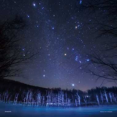 【メーカー取寄】36-10 美瑛に降る星のダイヤモンド（北海道）