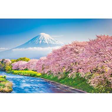 【メーカー取寄】10-1387 春爛漫の桜並木と富士山（静岡）