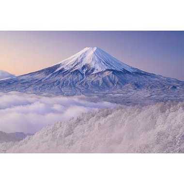 【メーカー取寄】10-1453 雪景色の三ツ峠より望む富士山（山梨）