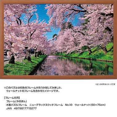 10-1455 桜雲の弘前公園（青森）