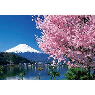 【メーカー取寄】01-2068 桜と富士（山梨）