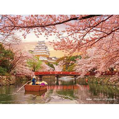 2308-28 姫路城と桜