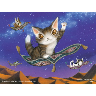 【予約】2308-66 砂漠の流れ星
