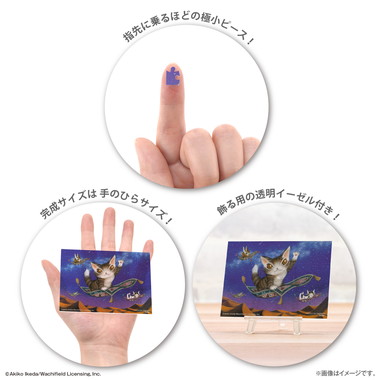 【予約】2308-66 砂漠の流れ星