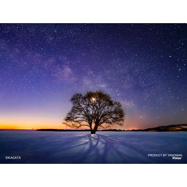 【予約】2308-83 ハルニレの木と天の川