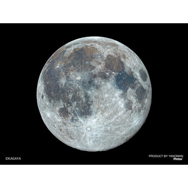 【予約】2308-84 満月