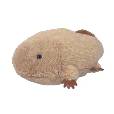 【メーカー取寄】ぽちゃまる　Sサイズ　サンショウウオ